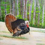 Tom Turkey, Acrylic, Pat Seeber